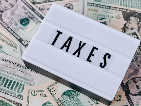 إجراءات وتقارير الفحص