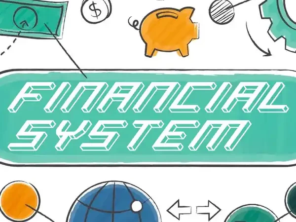 عناصر النظام المالي