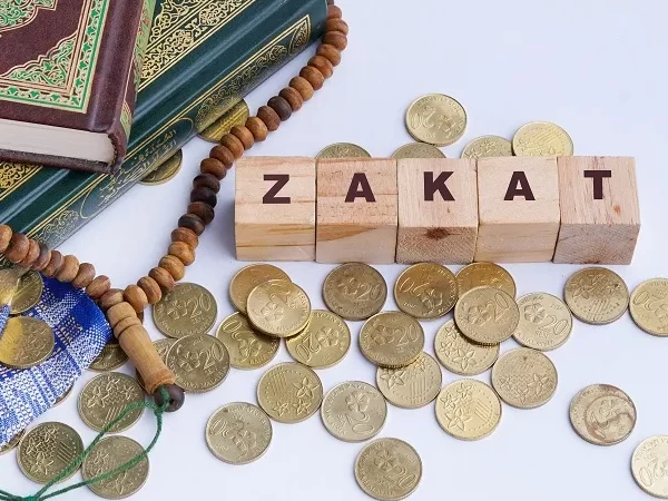 أحكام وحساب زكاة الخلطة (الشراكة) فى الأنعام