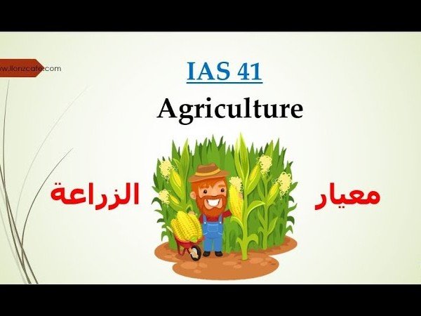 المعيار الدولي للمحاسبة رقم (41) – الزراعة (IAS 41) – النسخة المحدثة 2024