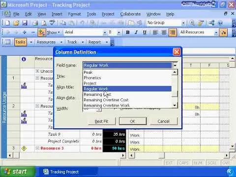 20 Using MS Project to manage a Project Schedule