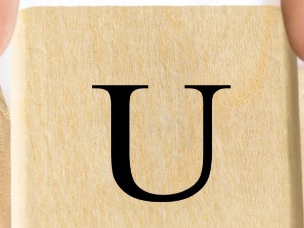 6 فئات مختلفة لحقوق الملاك في الشركات