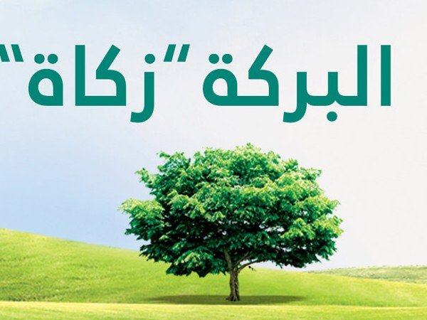 معنى محاسبة الزكاة