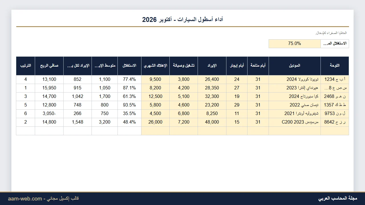 كفاءة تشغيل أسطول السيارات المؤجرة إكسيل