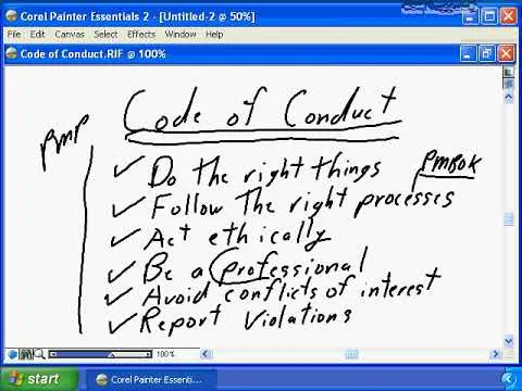 29 Project Management Professionalism