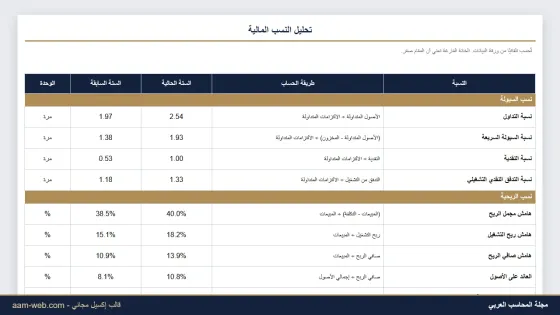 تحليل النسب المالية إكسيل: 20 نسبة مع التفسير